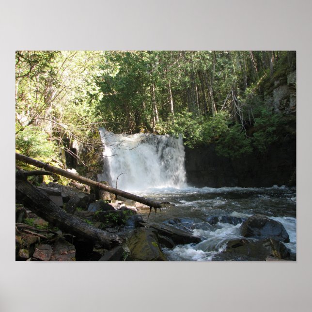 Poster Lower Johnson Falls (Devant)