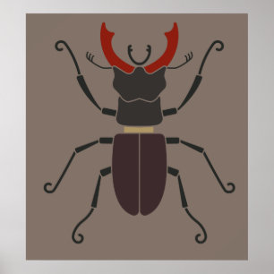 Poster Lucane cerf-volant