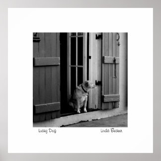 Poster Lucky Dog par Linda Becker PhotoArt