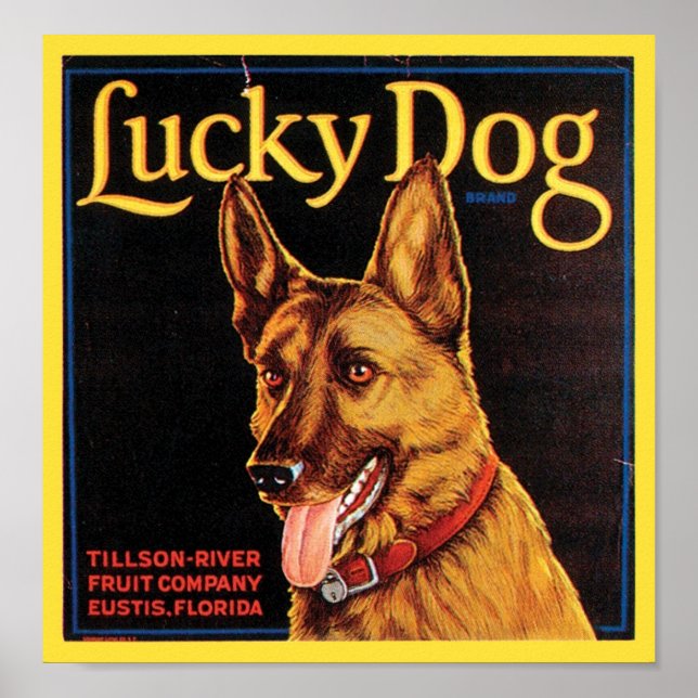 Poster Lucky Dog Vintage Crate Étiquette (Devant)