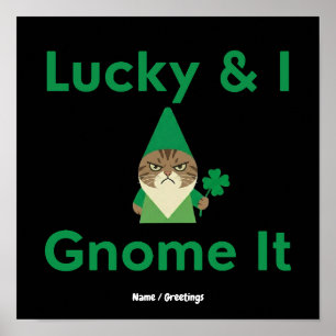 Poster Lucky & I Gnome ça drôle Chat sarcastique St Patr