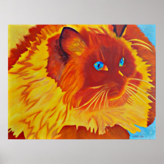 Poster Lucy