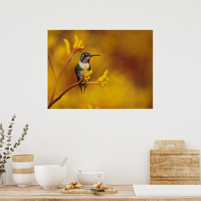 Poster Lueur d'or (Cuisine)