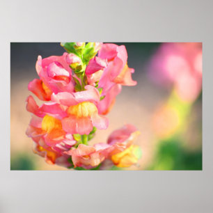 Poster Lueur sur moi