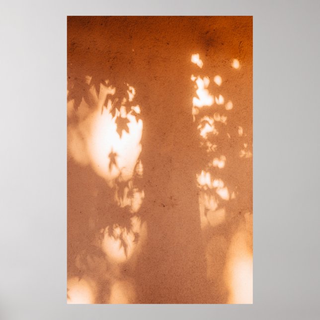 Poster Lumière (Devant)