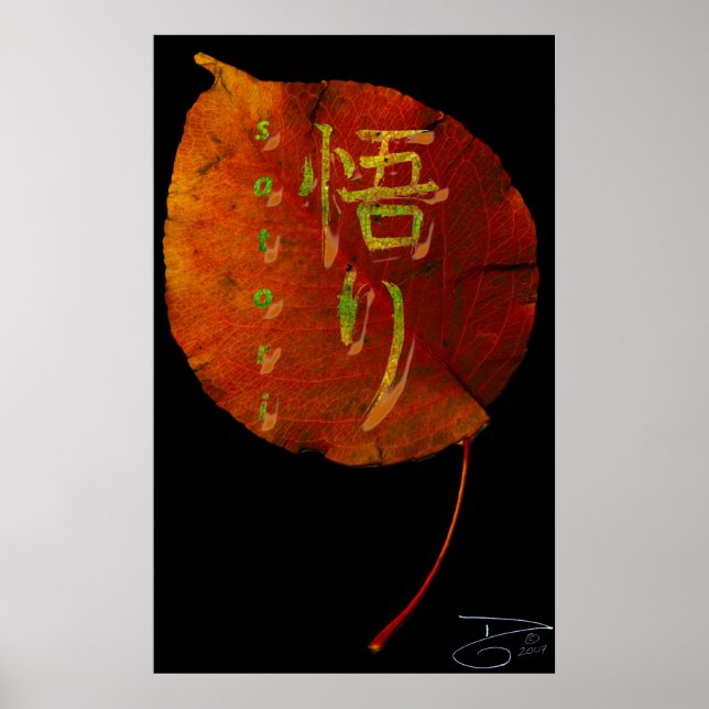 Poster Lumière (Devant)