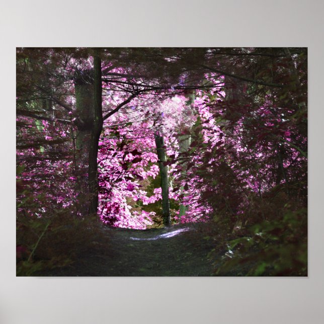 Poster Lumière À La Fin De La Nature Du Chemin (Devant)