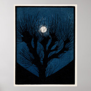 Poster Lumière de la lune