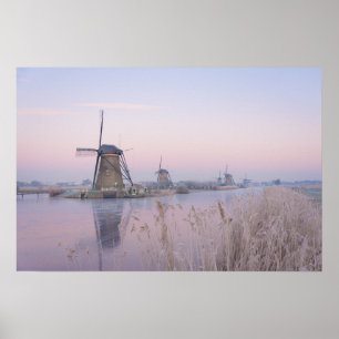 Poster Lumière douce du lever de soleil en hiver sur des