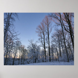 Poster Lumière du matin d'hiver I