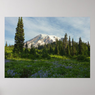 Poster Lumière du matin du Mont Rainier