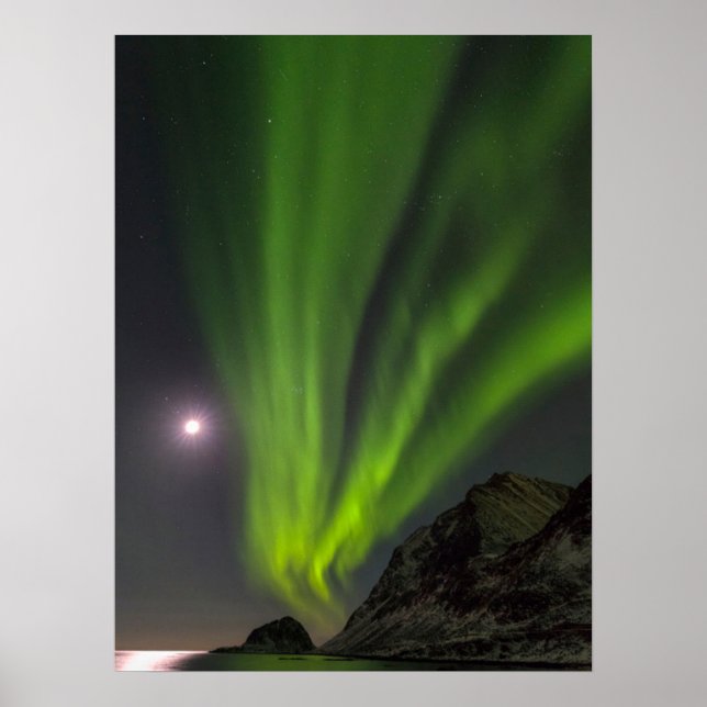 Poster Lumière du Nord | Haukland Beach Island Norvège (Devant)