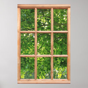Poster Lumière du soleil à travers les feuilles Vue d'une