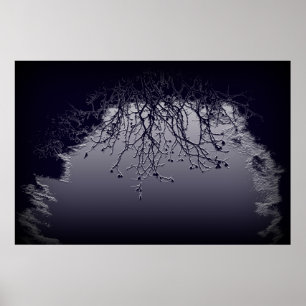 Poster Lumière et obscurité