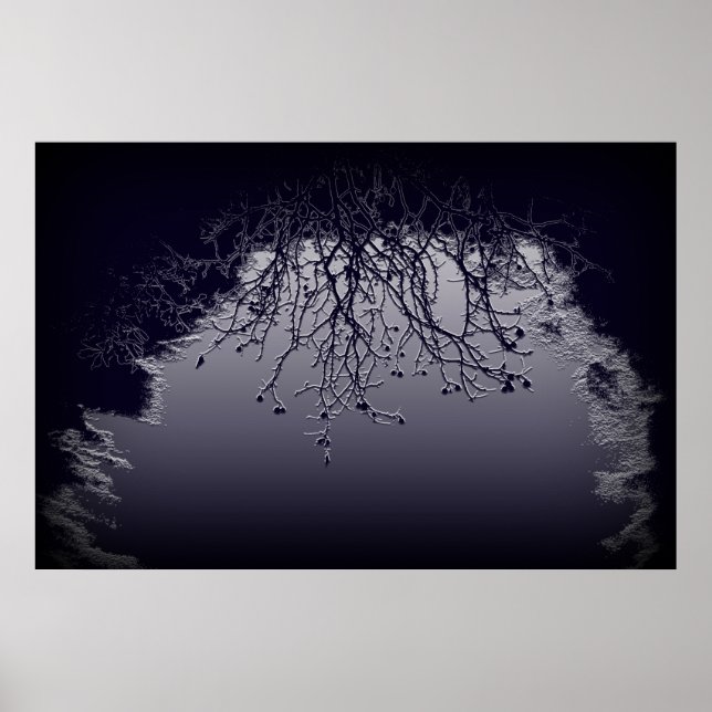 Poster Lumière et obscurité (Devant)