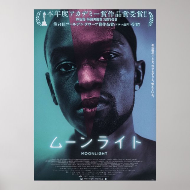 Poster Lumière lunaire japonaise (Devant)