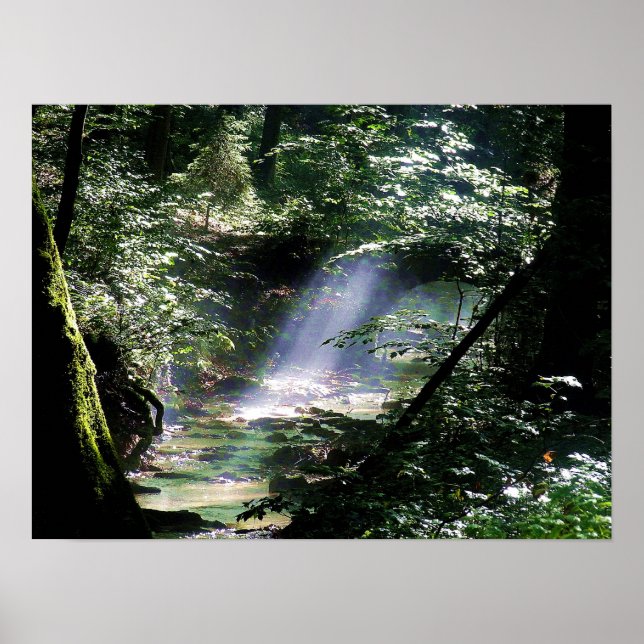 Poster Lumière Solaire Naturelle À Travers Les Arbres Sur (Devant)