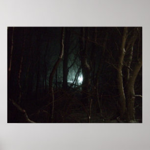 Poster Lumières dans la nuit
