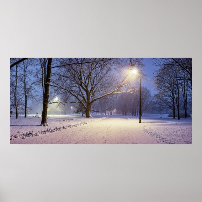 Poster Lumières de rue et couvert de neiges (Devant)
