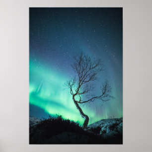 Poster Lumières du Nord