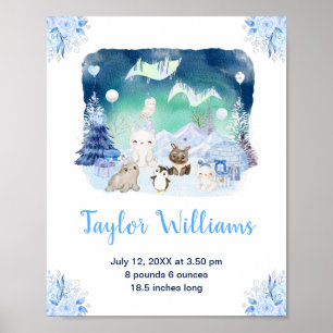 Poster Lumières du Nord Animaux de l'Arctique Statistique