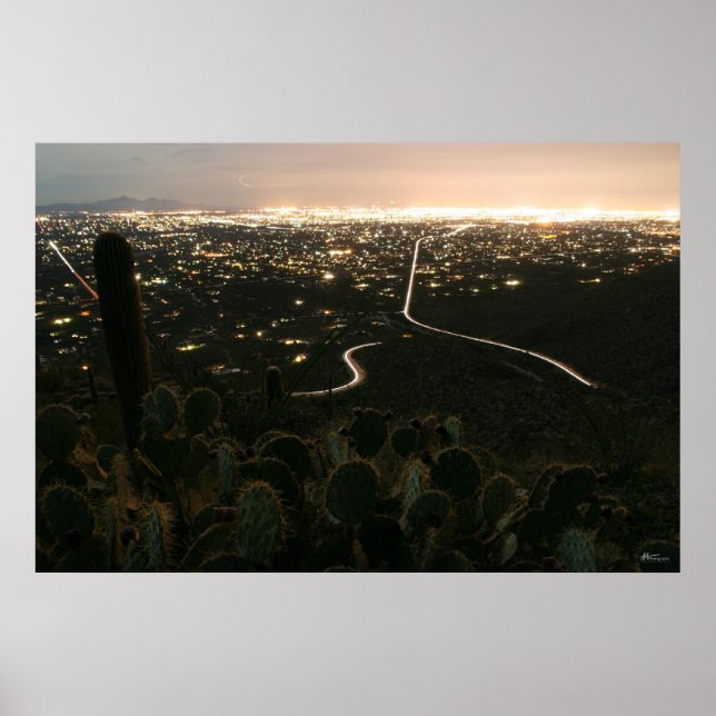Poster Lumières nocturnes de Cactus (Devant)