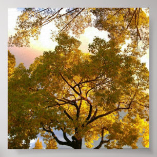 Poster Luminaire à l'intérieur