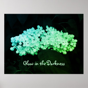 Poster Luminosité dans l'obscurité Green Lilacs Photo