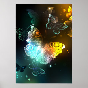 Poster Luminous Butterfly and Night butterflies