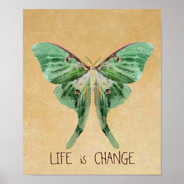 Poster Luna Moth Imprimer La vie est en train de changer (Devant)