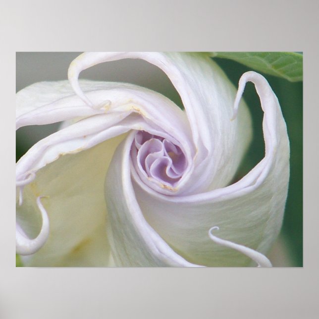 Poster Lune (Devant)