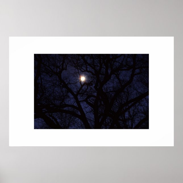 Poster lune (Devant)