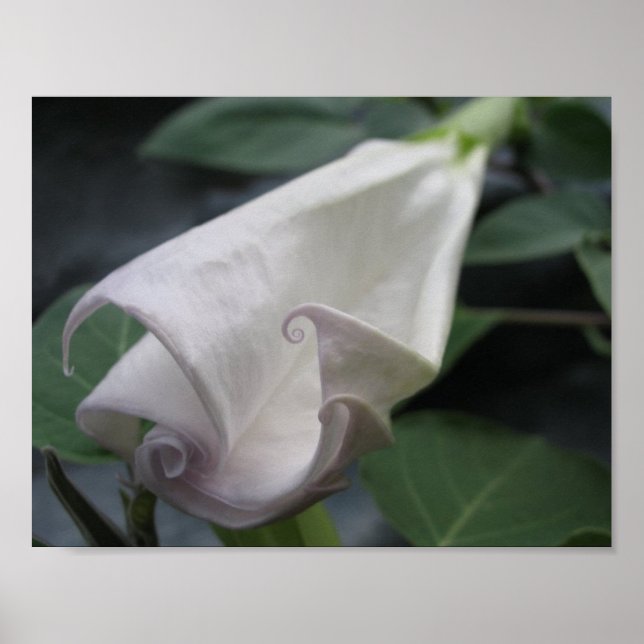 Poster Lune (Devant)