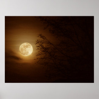 Poster Lune à travers les arbres