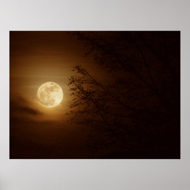 Poster Lune à travers les arbres (Devant)