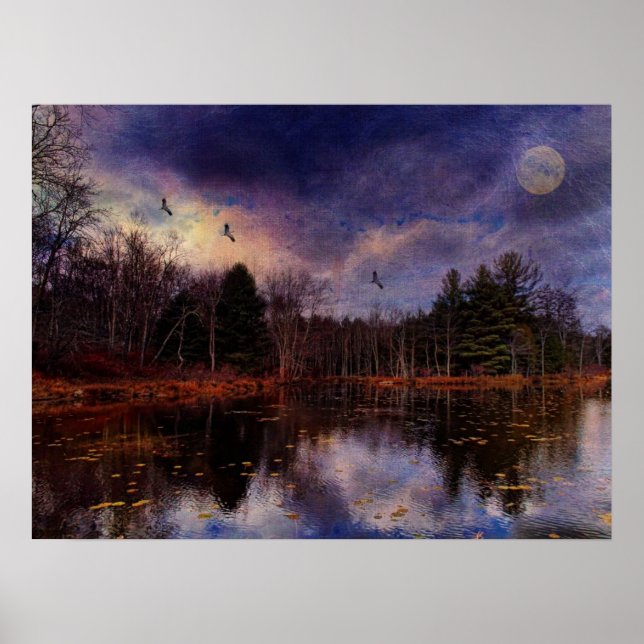 Poster Lune sur le marais (Devant)