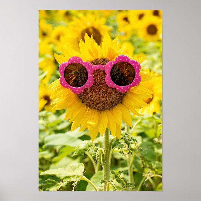 Poster Lunettes De Soleil Sur Tournesol (Devant)