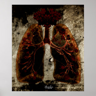Poster Lung'N'Rose