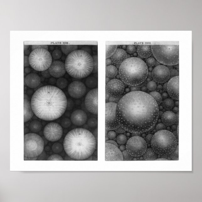 Poster L'univers de Thomas Wright (Devant)