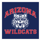 L'Université d'Arizona | Wildcats