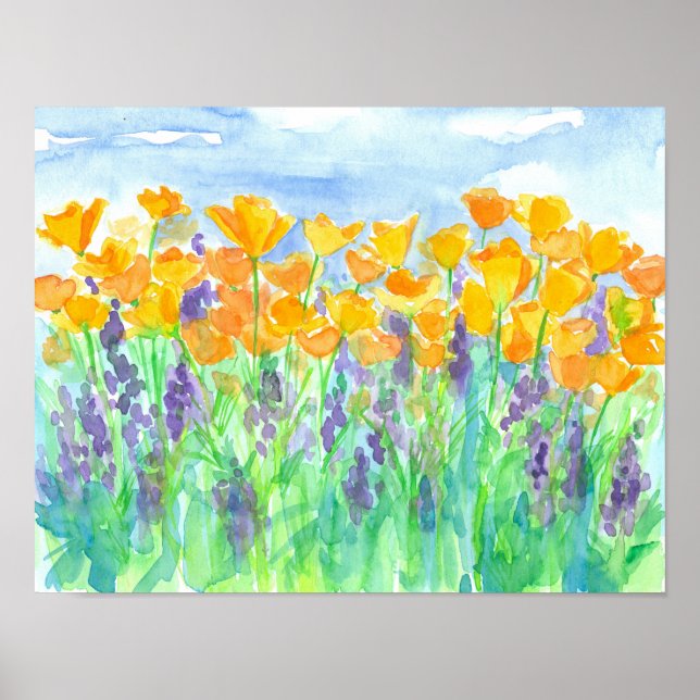 Poster Lupines de Californie (Devant)