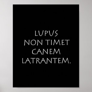 Poster Lupus non tim canem latrantem