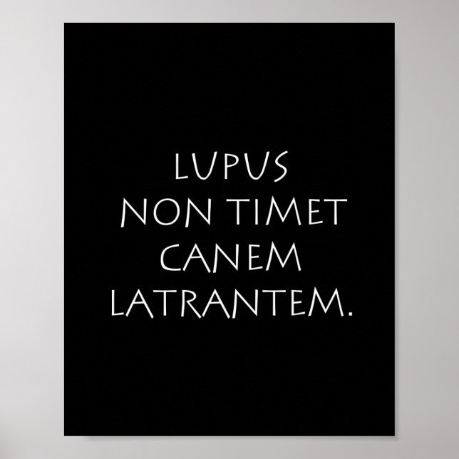 Poster Lupus non tim canem latrantem (Devant)