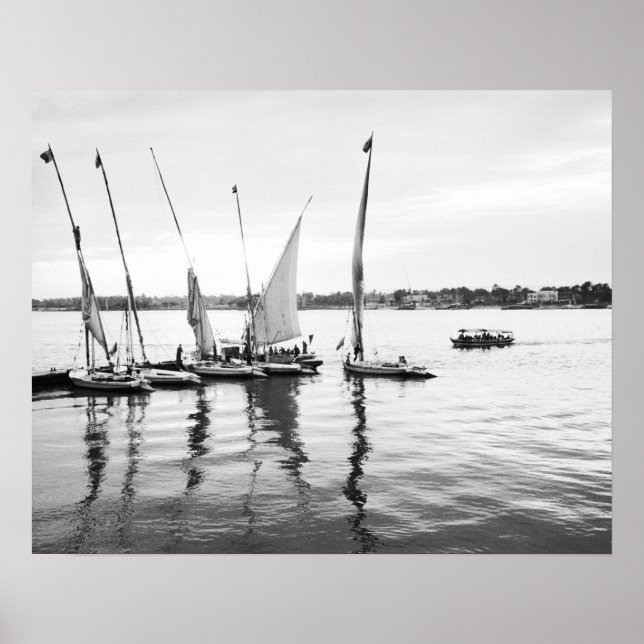 Poster Luxor Egypt, Feluccas sur le Nil (Devant)