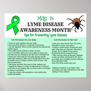 Poster Lyme Prévention de la maladie