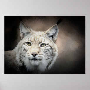 Poster Lynx