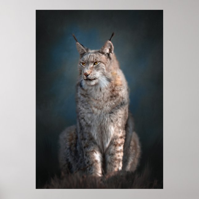Poster lynx ibérique assis (Devant)