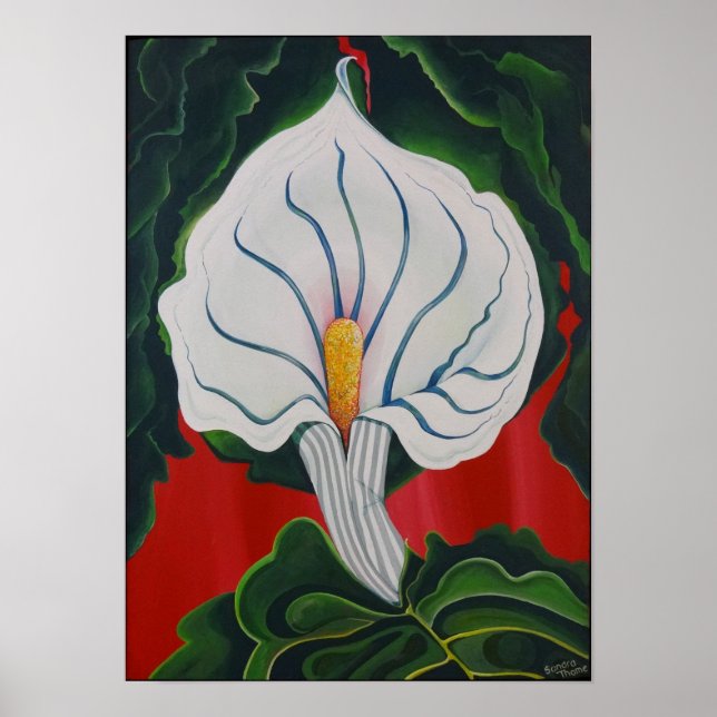 Poster Lys blancs (Devant)
