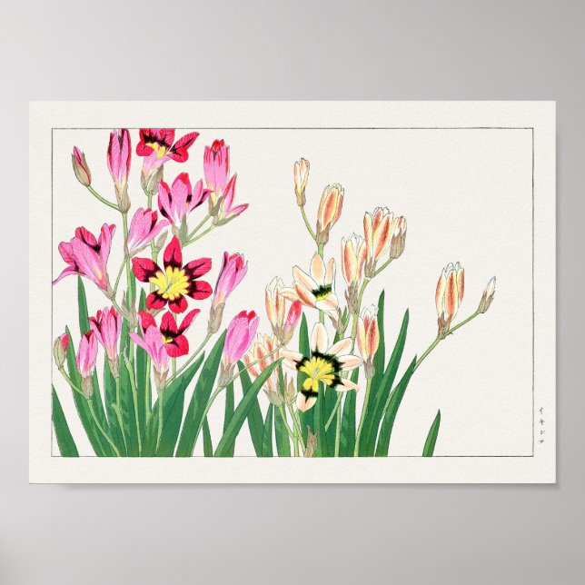 Poster Lys de maïs africain par Tanigami Konan (Devant)