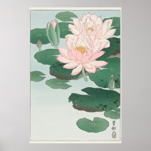 Poster Lys d'eau